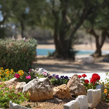 Paros Seafront 洛加拉斯